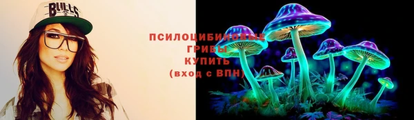 мяу мяу мука Арсеньев