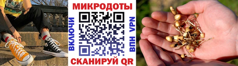 Галлюциногенные грибы Psilocybine cubensis  магазин    Урай 